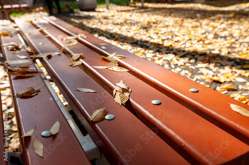 autumn. yellow leaves lie on the ground and on the Park couch. locking the warm light of the sun