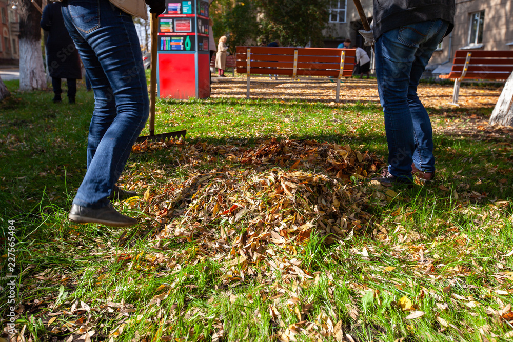 Cleaning of the territory from leaves in autumn. people with brooms, rakes and bags Cleaning of the territory from leaves in autumn. people with brooms, rakes and bags