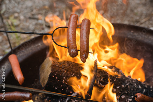 Hot Dogs Roasting on an Open Fire