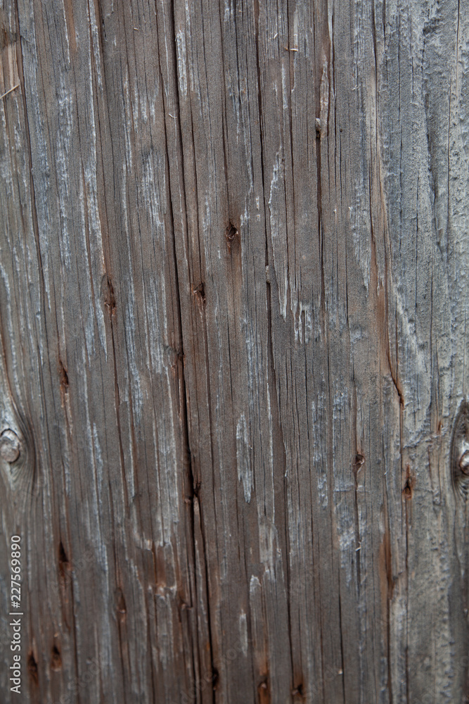 Naklejka premium Old Wood Texture