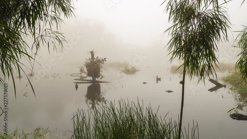 A volcanic crater lake, Laguna Wawa Sumaco in misty cloudforest at 2,500m elevation on  Sumaco Volcano in the Ecuadorian Amazon.
