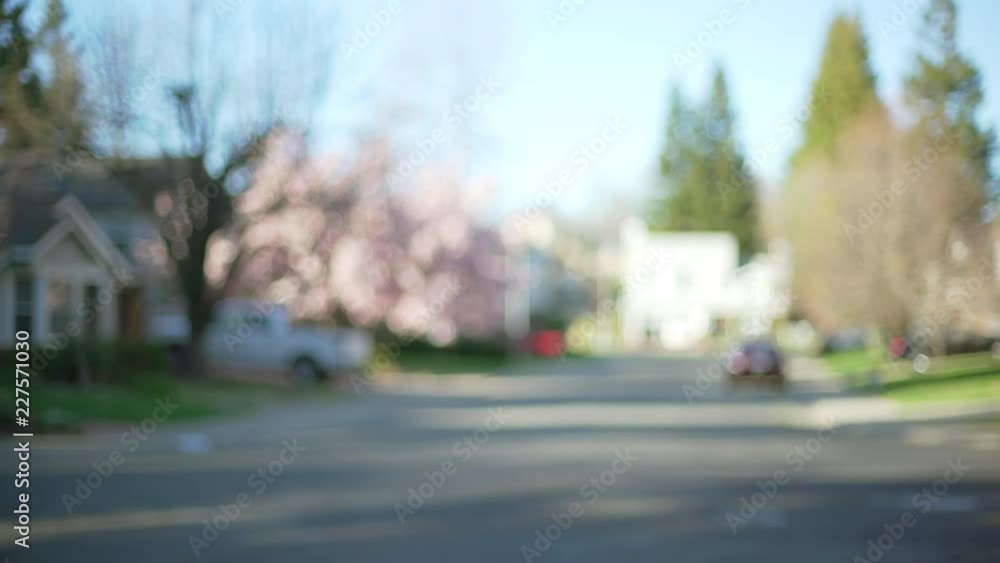 Exterior scene of a quiet neighborhood street with a cherry blossom tree Exterior scene of a quiet neighborhood street with a cherry blossom tree
