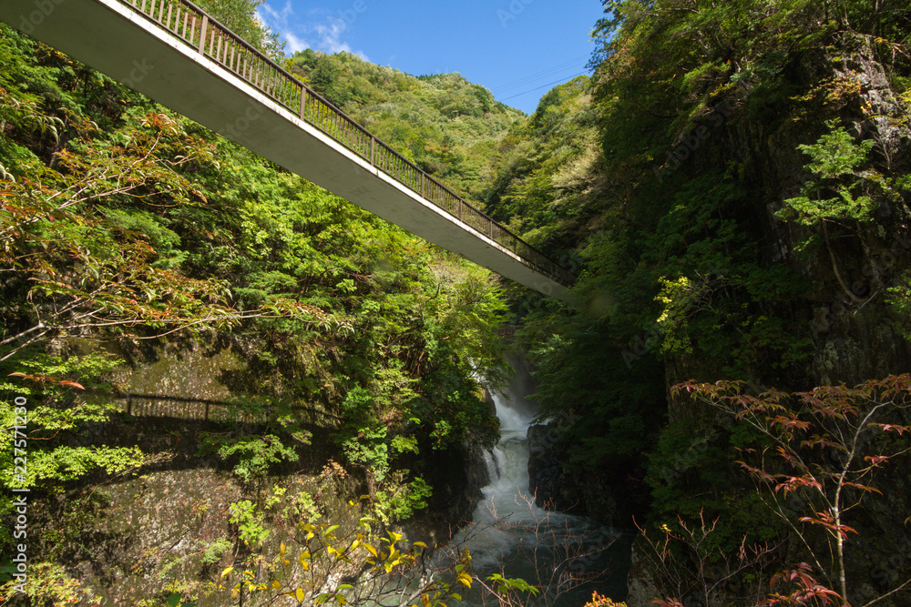 Fototapeta premium みたらい渓谷