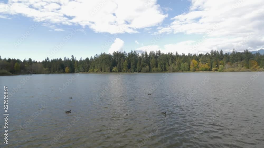 Lost Lagoon Stanley Park Vancouver Lost Lagoon Stanley Park Vancouver