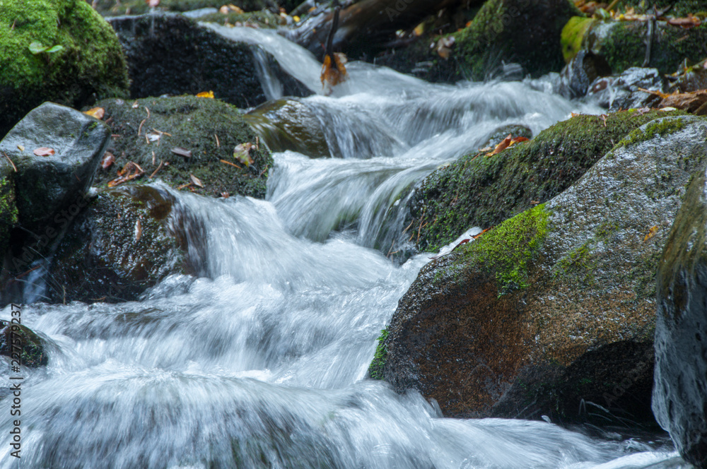Autumn colours of river in Vitosha Autumn colours of river in Vitosha