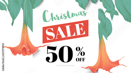 Botanical Christmas sale banner template design, Brugmansia or Angels trumpet flowers with leaves, red and green tones