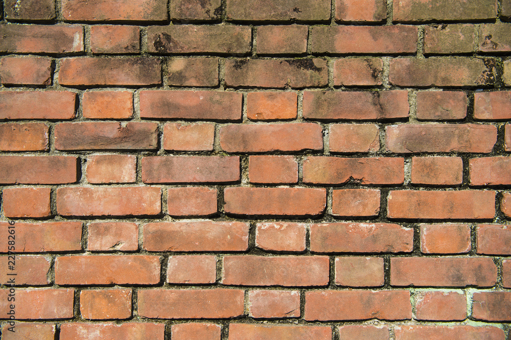 Obraz premium レンガ壁