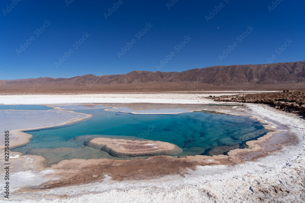 lagunas de baltinache - lake surrounded by salt in the middle of the atacama desert