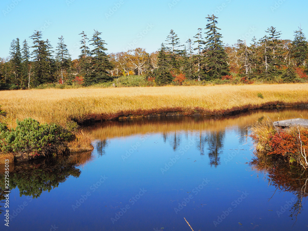 Fototapeta premium 北海道 ニセコ 神仙沼