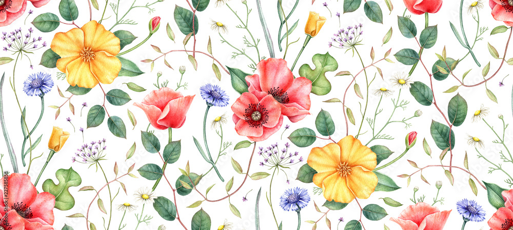 Seamless pattern with wildflowers: poppy, cornflower, chamomile and herbs. Hand drawn watercolor illustration for fabric, wrapping, wallpapers and other designs. Floral botanical print. Seamless pattern with wildflowers: poppy, cornflower, chamomile and herbs. Hand drawn watercolor illustration for fabric, wrapping, wallpapers and other designs. Floral botanical print.