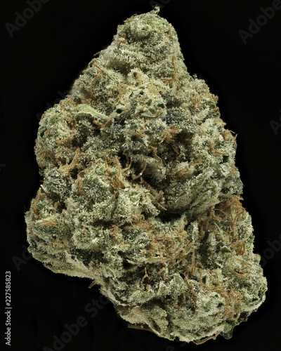 Anonymous OG #2 dried cannabis flower against black