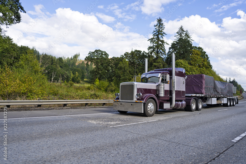 Purple classic big rig semi truck transporting covered commercial cargo on flat bed semi trailer