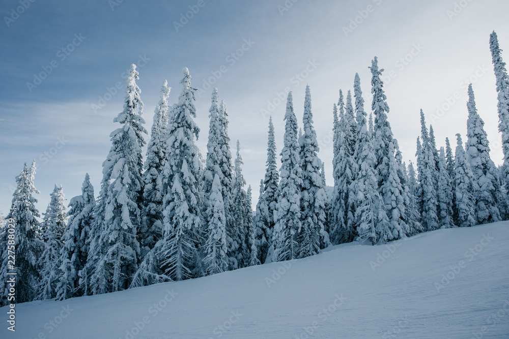 Groomed slopes at a ski resort. Groomed slopes at a ski resort.