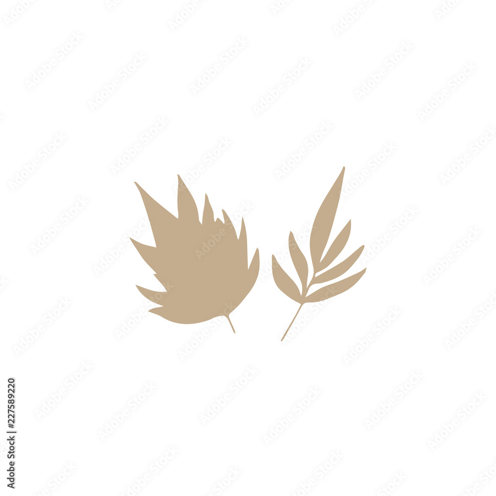 Vector hand drawn seaweeds. Isolated individual objects, algae. Vector hand drawn seaweeds. Isolated individual objects, algae.