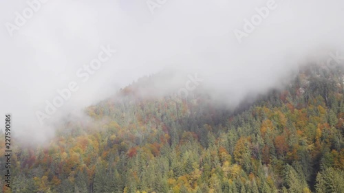 Timelapse of Forest with moving Clouds in Autumn photo