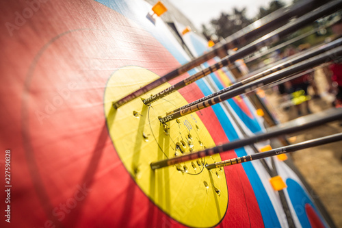 Canvas-taulu Arrows in a target