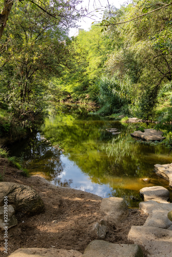 Quiet pond river shore beautiful landscape Quiet pond river shore beautiful landscape
