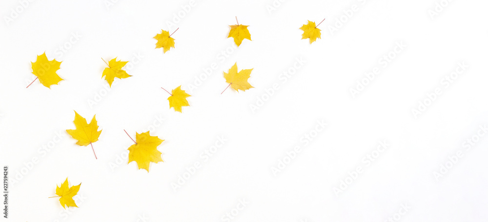 Autumn composition frame made of yellow autumn maple leaves on white background. Top view, flat lay.