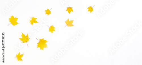 Autumn composition frame made of yellow autumn maple leaves on white background. Top view, flat lay.