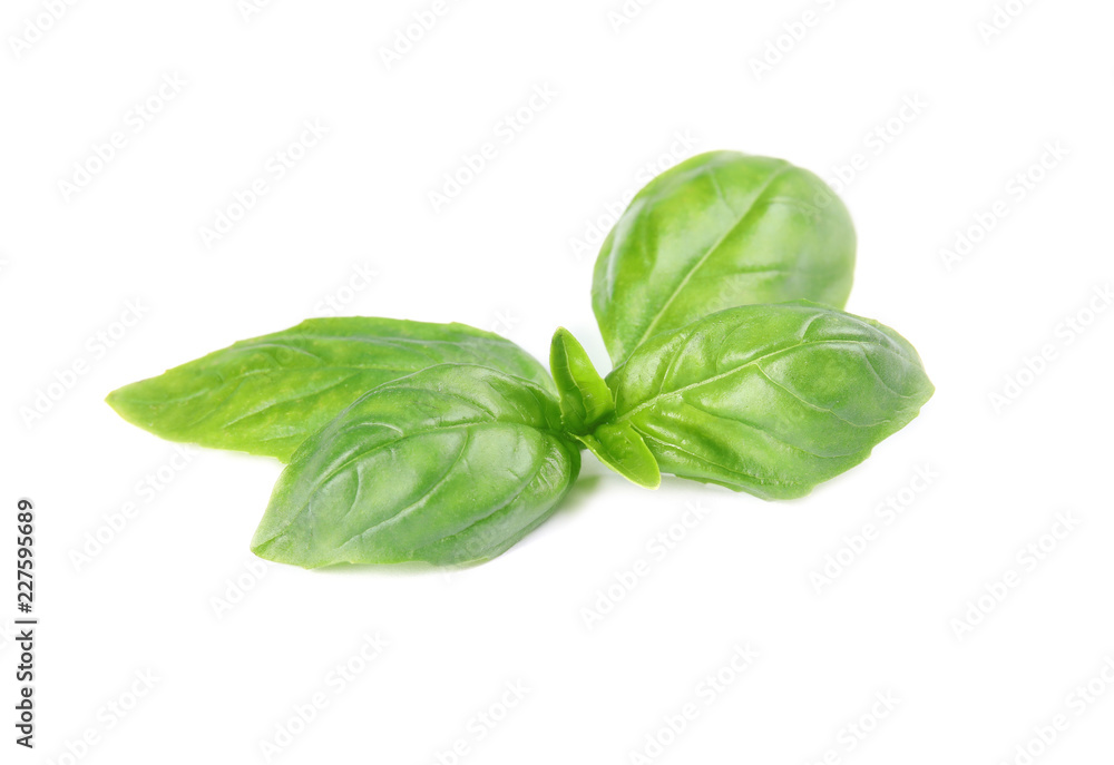 Fresh green basil leaves on white background Fresh green basil leaves on white background
