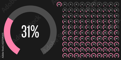 Set of circular sector percentage diagrams from 0 to 100 ready-to-use for web design, user interface (UI) or infographic - indicator with pink