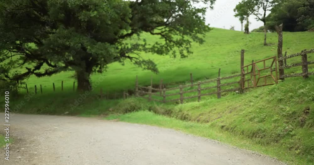 Defocused background of gravel road in a countryside landscape for compositing Defocused background of gravel road in a countryside landscape for compositing