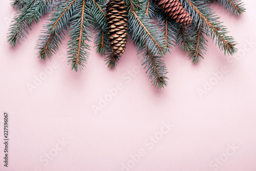 Christmas winter coniferous border with cones. Pink background