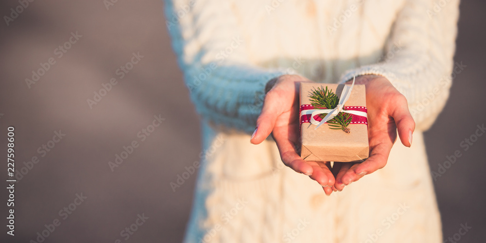 Fototapeta premium Banner of a special little christmas present in woman's hands. A girl is holding a small xmas hand made gift.