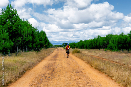 Camino de Santiago (Spain) - A pilgrim walking along the way of St.James, in the spanish meseta