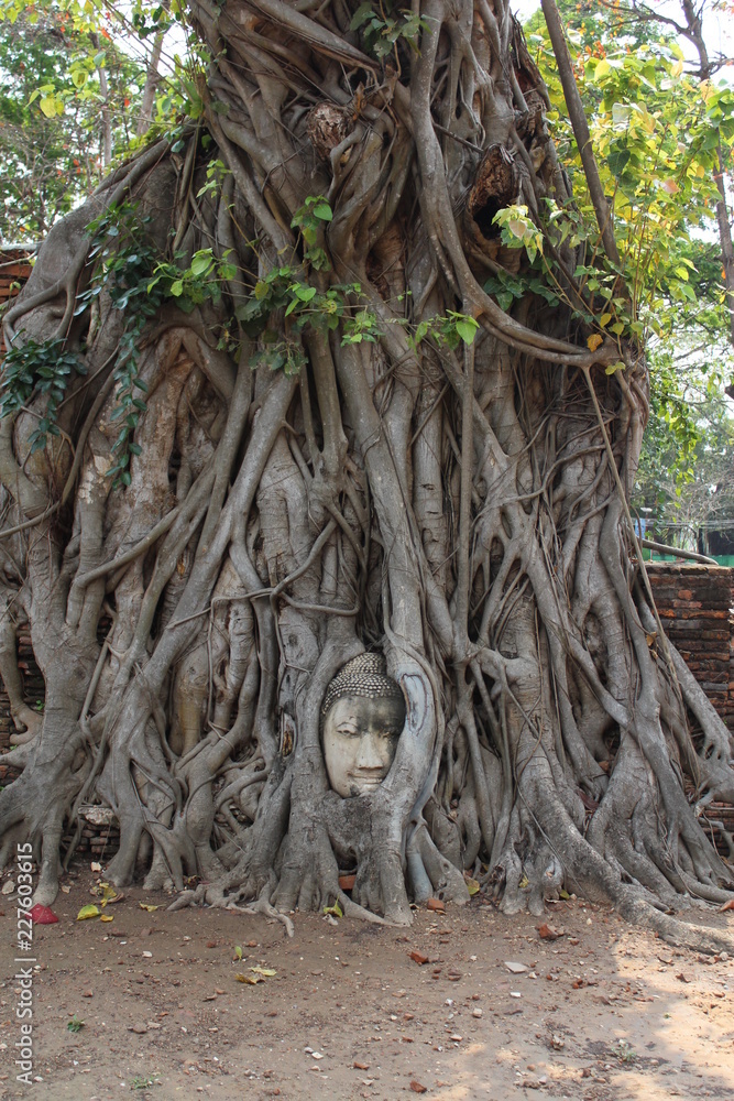 Fototapeta premium Thailand