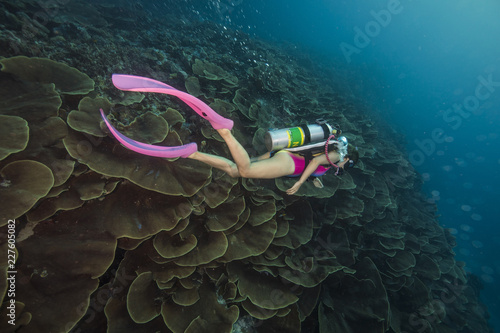 A young female diver moving on the cabbage coral reef photo