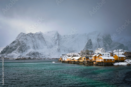 Yellow rorbu houses, Lofoten islands, Norway © Dmitry Rukhlenko