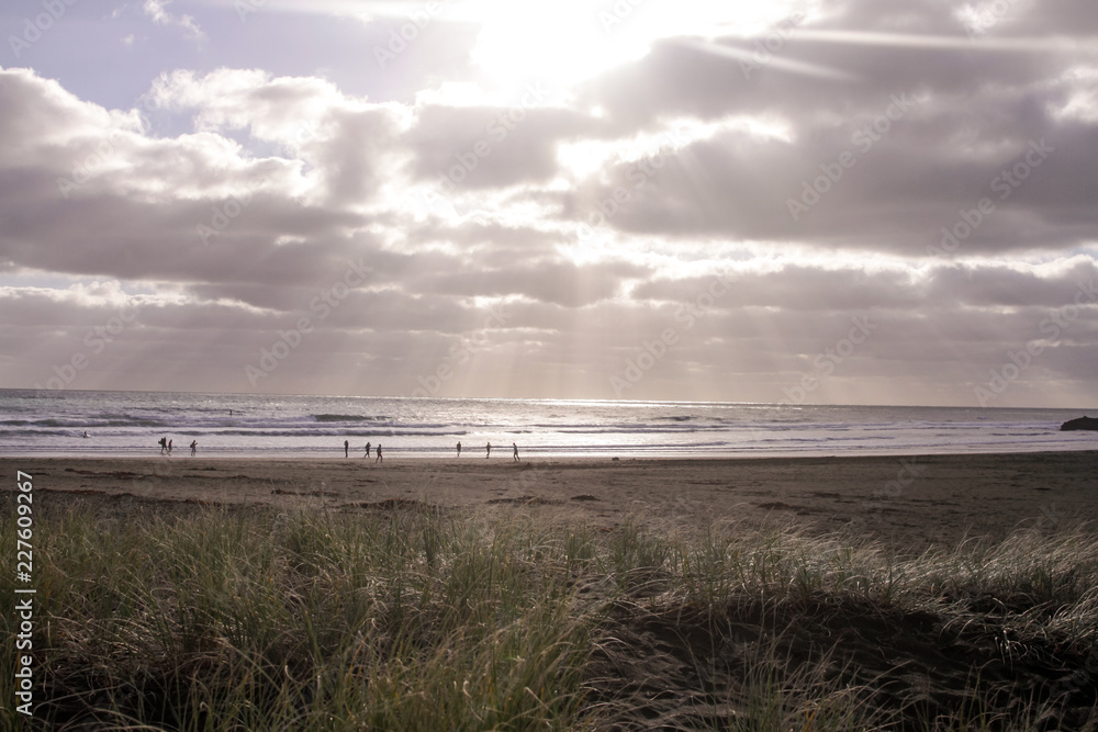 Piha Piha