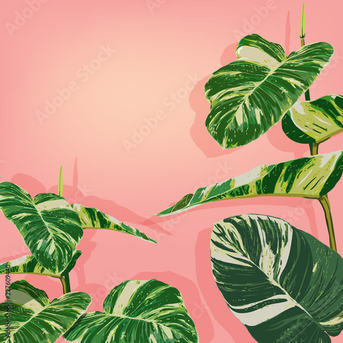 Green lefe Ornamental plants on pink pastel color background.Vector illustration flat lay minimal design.