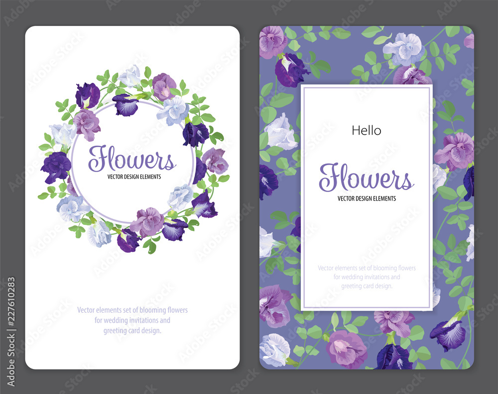 Butterfly pea flowers and leaf on background template. Vector set of blooming floral for wedding invitations and greeting card design.