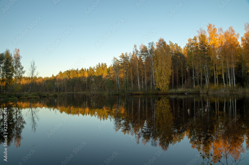 Fototapeta premium Forest lake 8