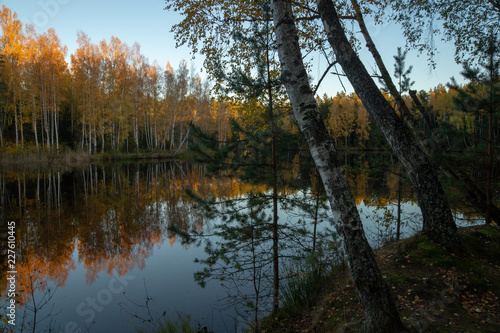 Forest lake 10 © Sergey