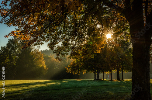 Sonnenaufgang über dem Golfplatz © Gina Bromá