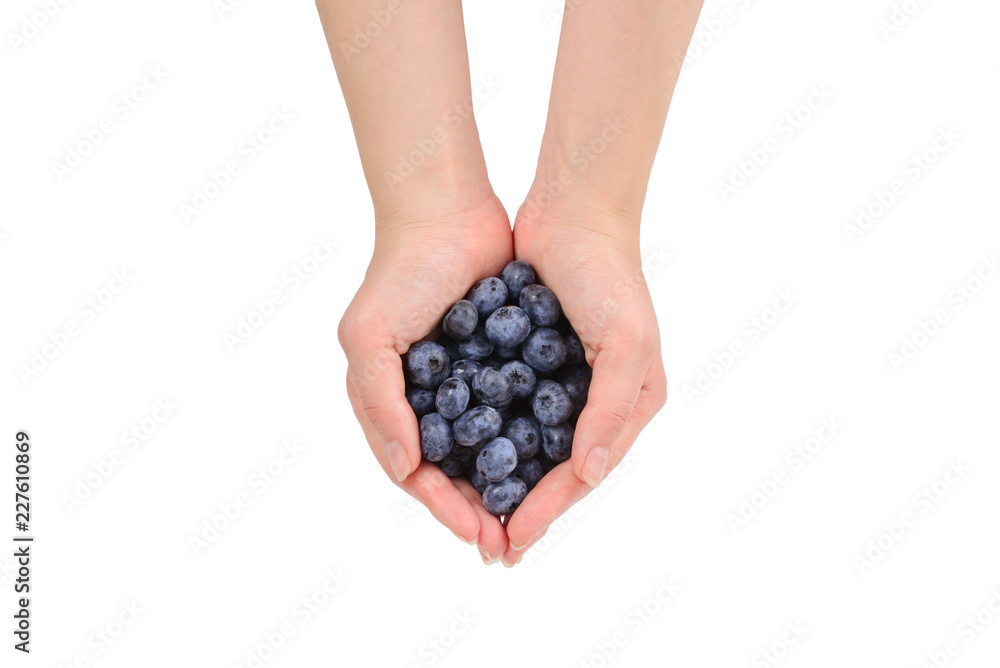 Bluepberry kept in hands isolated on white background. Bluepberry kept in hands isolated on white background.