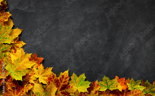 Autumn leaves on dark slate background