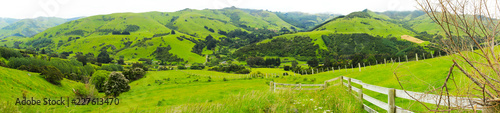 Obraz na plátně Scenic landscapes near Akaroa, New Zealand
