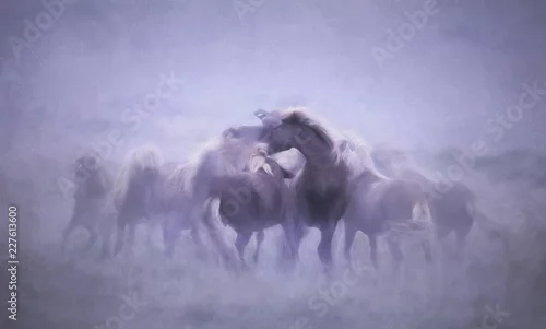 Obraz Islandzka jazda konna, artystyczne połączenie