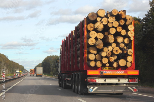 Heavy truck transports logs on a red semi-trailer goes on a suburban asphalt highway road on a summer day against a green forest and blue sky with clouds - trade and timber exports in Europe