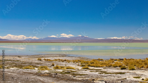 Fototapeta Naklejka Na Ścianę i Meble -   magnificent landscape with mountains and lagoons - travel to Bolivia, Altiplano