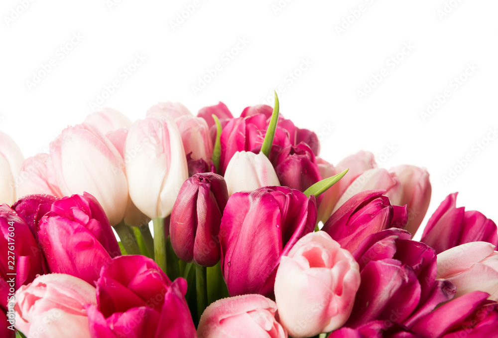 Fototapeta  bouquet of pink tulips