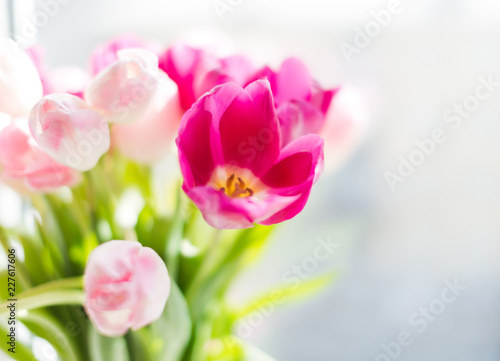 A bouquet of  tulips in a vase. Soft selective focus © Valeri Luzina