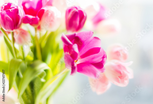 A bouquet of  tulips in a vase. Soft selective focus