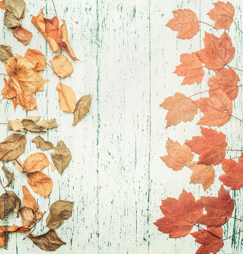 autumn composition, various yellow leaves, on a wooden background, space for text flat lay
