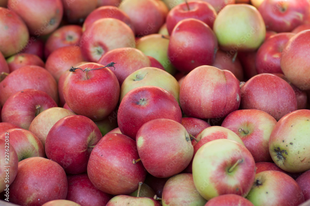 closeup of red apples stack at the market closeup of red apples stack at the market