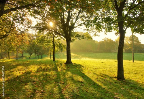 A sunny morning landscape in early Autumn.
